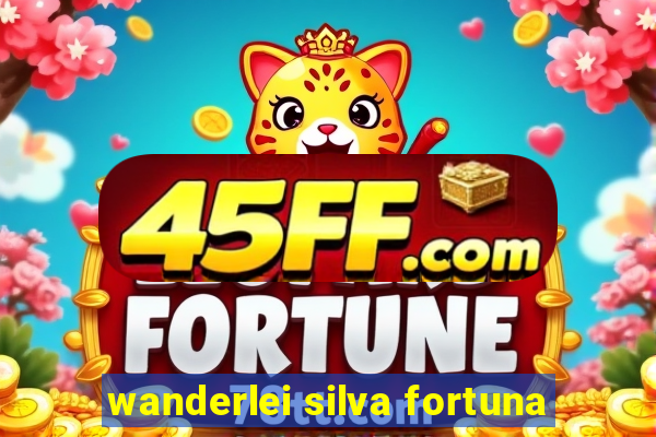 wanderlei silva fortuna